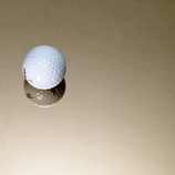 镜面+香槟色  (样图）